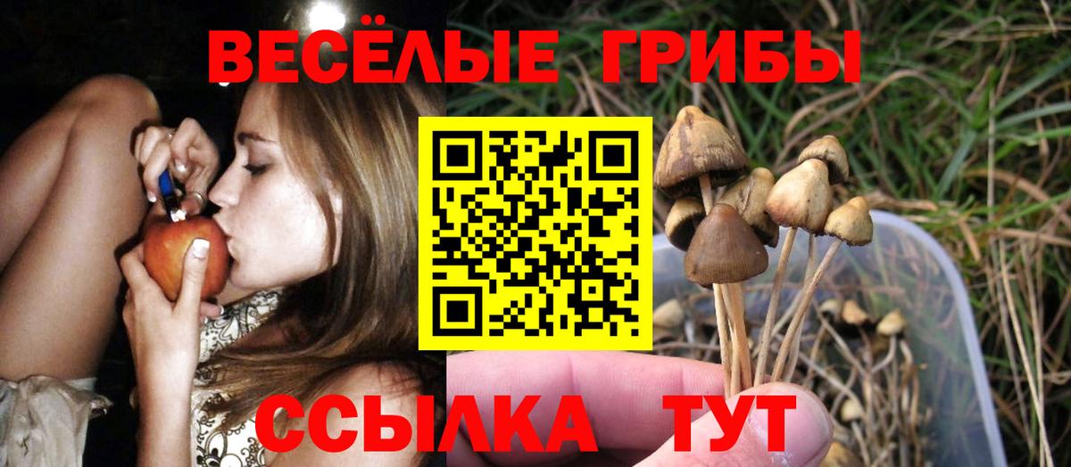 Псилоцибиновые грибы мицелий  Галлюциногенные грибы прущие грибы  Вход с VPN  Арсеньев 
